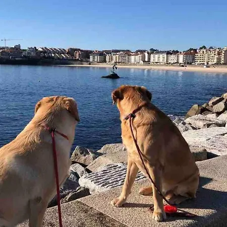 A Casa Da Bisavoa Holiday home Sanxenxo