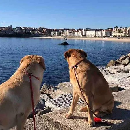 A Casa Da Bisavoa Casa de Férias Sanxenxo