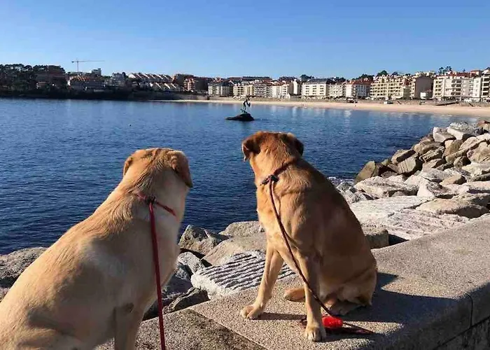 A Casa Da Bisavoa Casa vacanze Sanxenxo